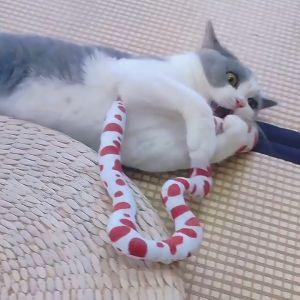 (COD) งูแคทนิป งูแมว ของเล่นแมว สุดฟิน นุ่ม เคี้ยวมันส์ ผ่อนคลายได้ทั้งวัน พร้อมส่งจากไทย