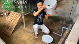 Máng nước tự động cho GàNganVịt Gia Cầm dùng tiện lợi hiệu quả nhất.