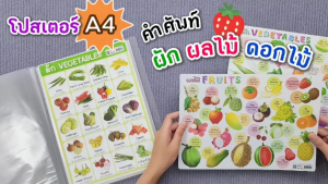ความรู้พลาสติก A4 0.3 มม. (ขายส่วนตัว ตรวจสอบความเหมาะสมสำหรับการใช้งาน) (คำศัพท์ภาษาอังกฤษผัก) ราคาที่สุด