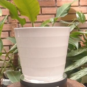 Pot Mado Model Sarang Tawon 22 | Merk Lovenia