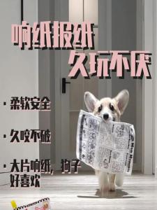 Đồ Chơi Chó Phát Âm Mô Phỏng Báo Giấy Chống Mòn Đồ Chơi Giải Trí Cho Thú Cưng Golden Retriever Teddy Bichon Pet Supplies