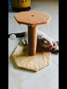 สมุทปราการ เชือกน้ำตาล หนา 6 มิล เชือกป่าน ตัดขาย เชือกมนิลา เชือกแมว เชือกธรรมชาติ 100% ไร้สารพิษ