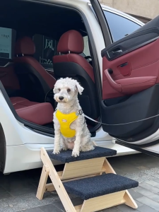 2-in-1 Design Wooden Pet Steps and Ramp Combo Foldable Access for Beds Steps Structure for Pets of Small to Large Size