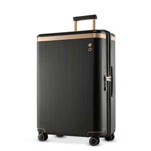 Echolac | Custom Engraved PC Travel Suitcase