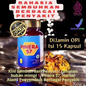 Pinera57 Dijamin ORI Isi 30 Kapsul Solusi Stroke jantung kolesterol Hipertensi Diabetes Asam Urat