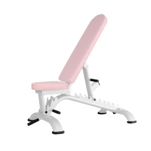 XINGYUE | Professional Adjustable Dumbbell Bench Fitness Chair