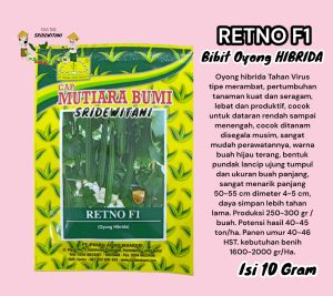 BENIH BIBIT OYONG HIBRIDA F1 TAHAN VIRUS RETNO F1 10 GRAM MUTIARA BUMI Setara ANGGUN Panah Merah