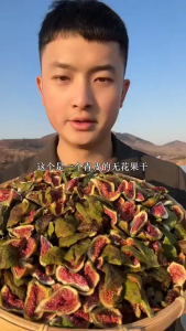 Big Nuts Dried Fig 青皮无花果 Dried Fruit
