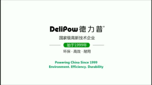 🏆 Delipow AAA AA rechargeable battery Ni-MH LED USB Charger rechargeable batteries nimh 6 slots