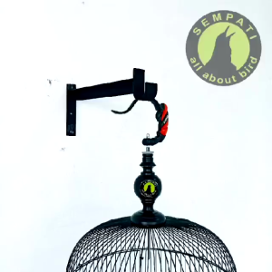 SEMPATI GROSIR Gantungan Tempel Dinding Rak Siku L Serbaguna Sempati Isi 10 Pcs Tempel Tembok Cantolan Sangkar Kandang Burung Lovebird Pleci Gantungan Pot Tanaman Bunga Gapot  Rak Penyangga Papan