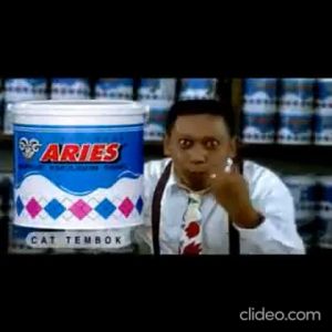 Cat Tembok Ekonomis Aries Pail 20KG / AVIAN BRANDS