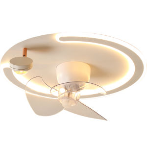 LED Fan Ceiling Light For Young Adults