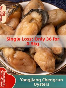 Golden Dried Oyster Seafood