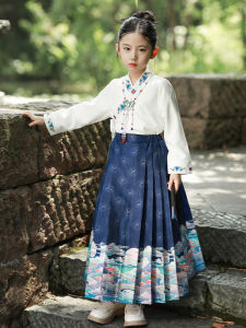 H.S.H Kids | Girls Traditional Hanfu Long Sleeve Dress Set Large Childrens Ming Dynasty Style National Costume Horse Tail Skirt Dress