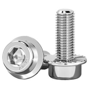 TIANZHUOJINSHU | Stainless Steel 304 Hex Socket Flange Face Screws