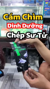 Aqua+ Cám Hạt Chìm Cá Chép Sư Tử ButterFly Carp Food Hạt Chìm Giàu Tảo & Dinh Dưỡng Cao Gói 100gram Bổ Sung Dầy Dủ Hỗ Trợ Toàn Diện