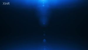 310mm Motorcycle Shock Absorber: A Universal Solution for Honda, Yamaha, Suzuki