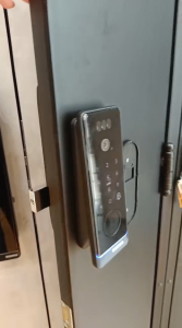 EAZEA AXIS-G Pro Smart Gate Lock with Face Scan Keyless Access HDB Local Warranty