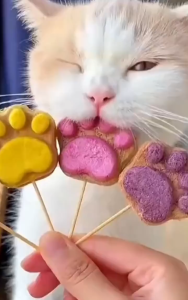 Gentle Dental Chicken Paws & Bone Treats for Adult Cats - High-Protein Freeze-Dried Treats with Natural Flavors