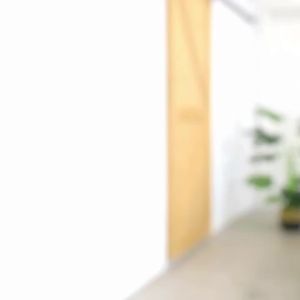 FENGHONGTAO | Realistic Decorative Plant Indoor & Outdoor