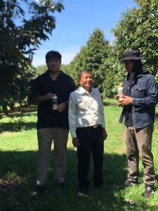 สิบเจ็ด พลัส 17 Plus ปุ๋ยทางใบ ผลิตภัณฑ์สร้างความสมดุลให้พืชสมบูรณ์ สะสมอาหาร เพื่อให้ใบใหญ่ ใบหนา ของแท้100%