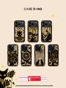 Casebang | CASEBANGx Black Cat and Tarot series jointly suitable for iPhone18ProMax/18Pro/17ProMax/17Pro/16promax/15 detachable magnetic Apple phone case