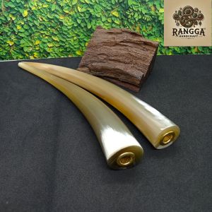 once pipa cangklong tanduk kerbau bule super panjang B238