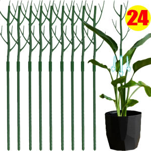 Dizoey 3/24Pcs Green Plant Support Pile Frame Stackable Plant Stakes Aesthetic Indoor Flower Vine Climb Bracket Reusable Bonsai Growth Fix Rod