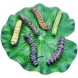 Đồ Chơi Hình Con Bướm Giả Cho Trẻ Em Mẫu Giáo Đồ Chơi Thực Tế Đồ Chơi Mô Hình Động Vật Nhỏ Cho Bé Trai Và Bé Gái Đồ Chơi Giáo Dục