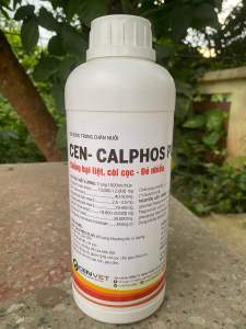 CEN CALPHOS 1Lít lên khung xương to chắc giúp gà đẻ đều nhiều chất lượng trứng tốt tỷ lệ ấp nở cao