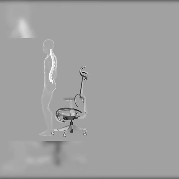 ToZient Ergonomic Office Chair S8Max / Computer Chair / Study Gaming