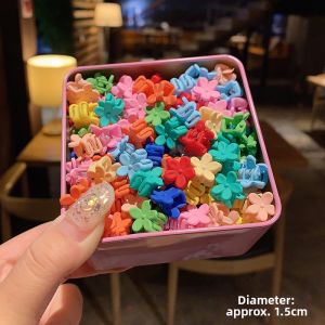 PINK EMPRESS | Dopamine Colorful Insta-style Hair Clips