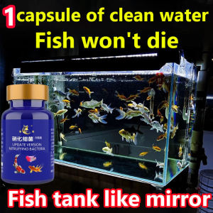nitrobacteria 1capsule of clean water nitrifying bacteria Fish wont die Nitrobacter Fish tank like mirror 硝化细菌 硝化菌