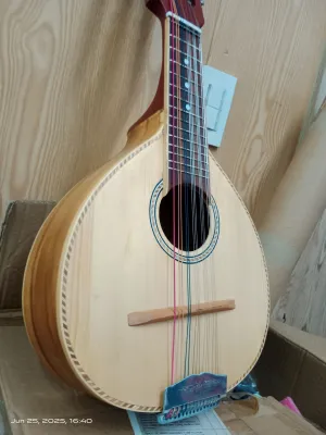 Davis Banduria 26(all solid)