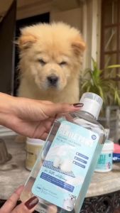 Gentle Paws Plant-Based Mini Pet Mouthwash: A Game-Changer in Dental Care for Dogs & Cats
