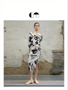 Long Sleeve Pleated Printing Dress