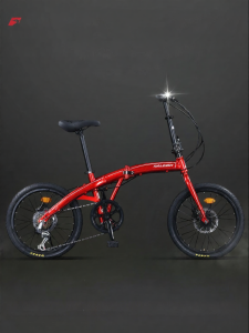 Raleigh | Folding Portable Bicycle 20 Inch