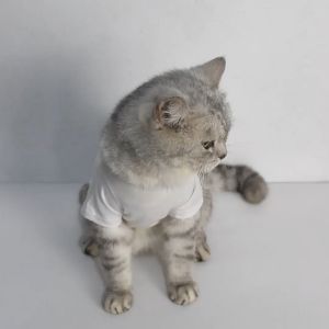Baju kucing anjing cowok cewek lucu murah gratis ongkir - Bukipet Tee Tabbu