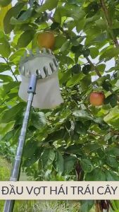 Dụng cụ gậy hái trái cây trên cao tiện lợi kim loại siêu chắc 3M-9M rút gọn 1m2-2m