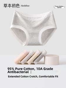 Anti-bacterial Cotton Panties 10A