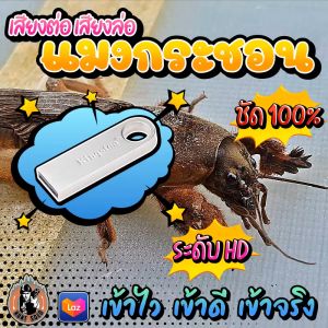 ((( ใ ห ม่ ))) เสียงต่อ/ล่อแมงกระชอน แมงจีซอน ((( ยาวสะใจ 10 ชั่วโมง ))) ใส่แฟลชไดร์ฟ เสียงชัดHD/ดัง/ใส ไม่มีโฆษณาแทรก พร้อมส่ง! มีเก็บเงินปลายทาง!!!