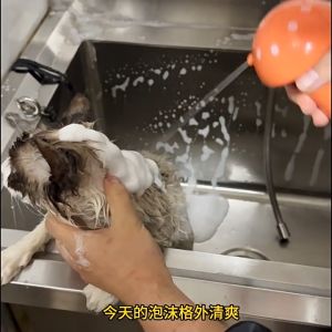 Pet smart toy electric foaming machine cute mushroom bathing bubble machine dog cat bathing bathing bathing machine