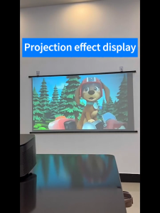 SOFTHOME Glass Fibre Screen For Projector Pull Down Roll Up Projector Screen With No Stand For Outdoor