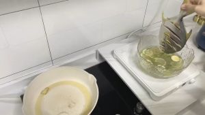 Saringan Datar Pelindung Dari Percikan Minyak Goreng Masak / Anti Percikan Minyak Splatter Screen