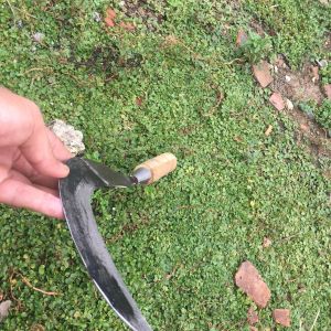 Sabit baja super tajam alat berkebun isi 3-wangkil mini gagang kayu-Stik asah pisau dan arit-promo alat dapur dan berkebun