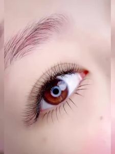 YELIX - Y 0.07 7D-W Pre-shaped Auto Fan Eyelash Extension