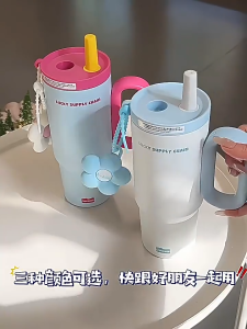 Two Tone Tumbler with Straw 750ml Water Bottle Thermos Mug Portable Coffee Bottle Hot Cold Drinks冰霸杯