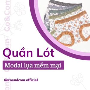 Quần lót nữ CoandCom cao cấp cạp trung chất liệu Modal mềm mịn đàn hồi co giãn tốt lót đũng kháng khuẩn NO6617