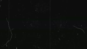 Setelan Casual Anak Remaja ABG Desain Gambar Pacman