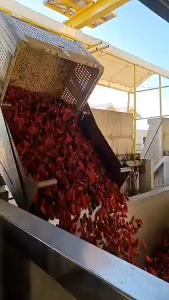 Huy Fong | SRIRACHA Hot Chili Sauce 0 calories Free Chili Sauce 0 Fat Free Chili Sauce Chili Seasoning Sauce Chilli Sauce Sos Cili Pedas Sos Cili Tanpa Kalori Sos Cili Tanpa Lemak 255g Sos Cili Sos Pedas Sos Cili Tanpa Kalori Sos Cili Tanpa Lemak 255g